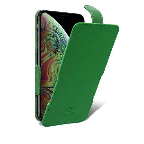 чехол-флип на Apple iPhone Xs Max Зелёный Stenk Prime фото 2